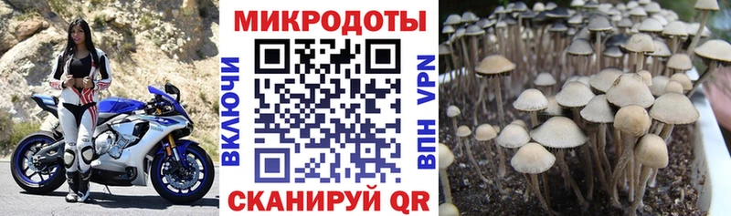 Галлюциногенные грибы GOLDEN TEACHER  Ленинск-Кузнецкий 